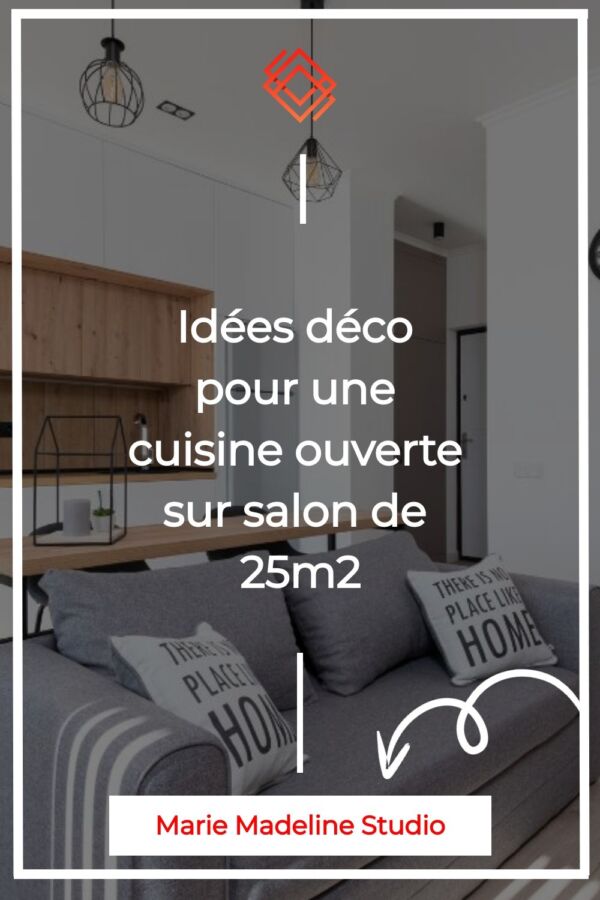 design salon cuisine ouverte