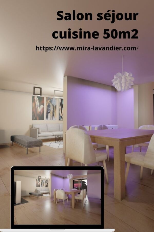 Aménagement salon cuisine 50m2